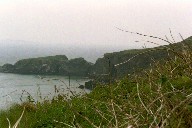 Carrie-Rope-Bridge