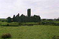 Quinn Abbey