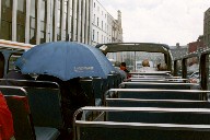 Im Regen