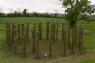 Kreis aus Holzstmmen