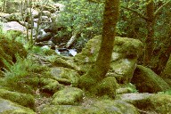 Wasserfall