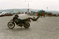 Big vor Delphin