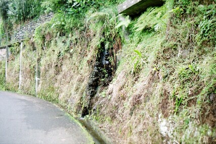 Ablauf von oben in eine Laverda am Straenrand