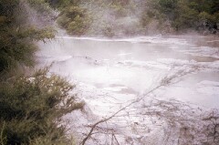 Mudpool