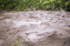 Mudpool