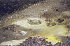 Farbe auf dem Boden