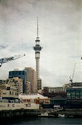 Fernsehturm Auckland