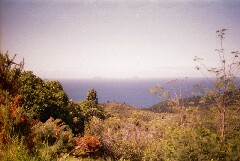 Mercury Bay