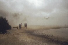 Nebel, ein wenig wie in London