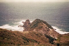 Cape Reinga